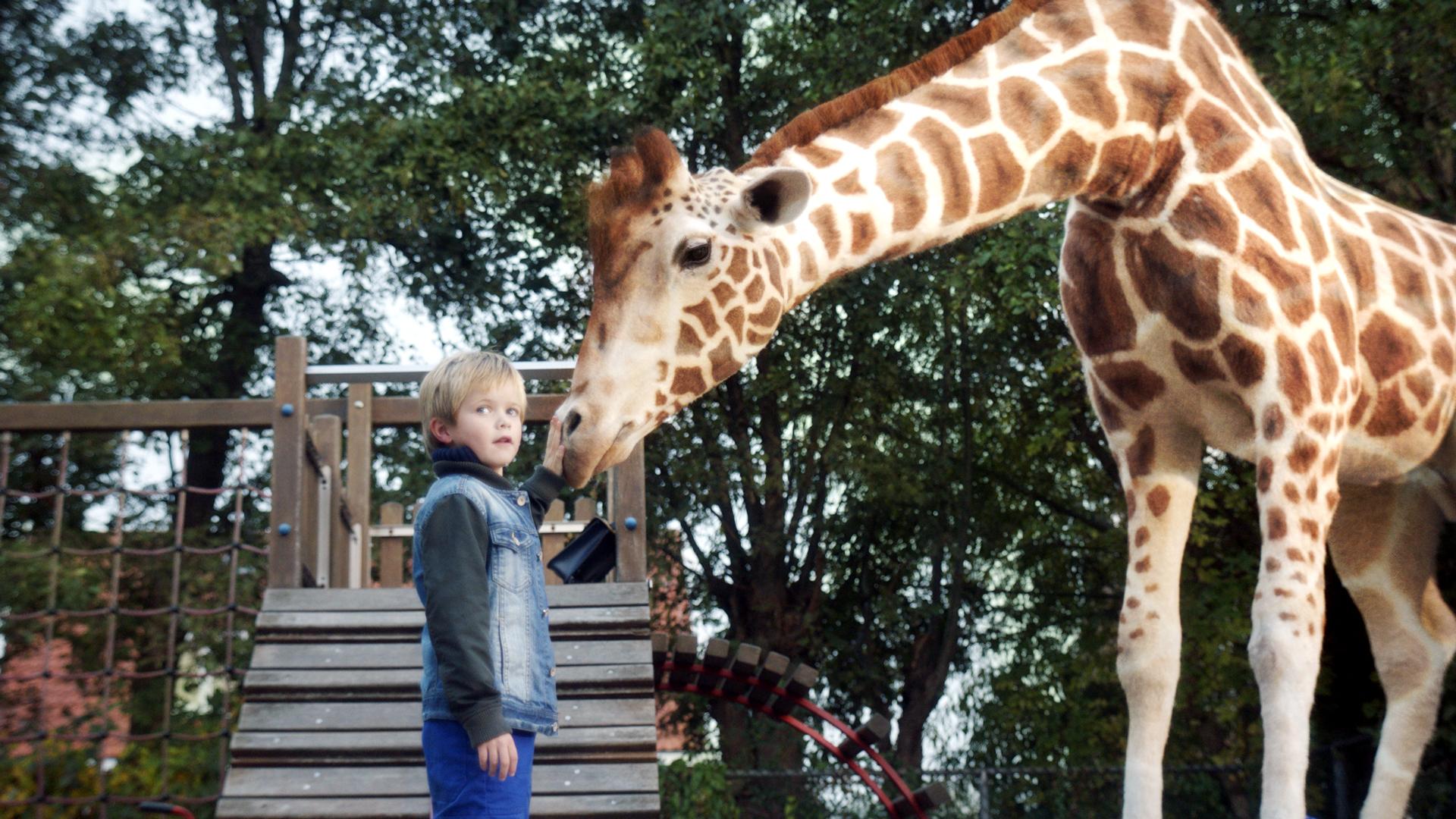 Mein Freund, die Giraffe Star Movie Ried